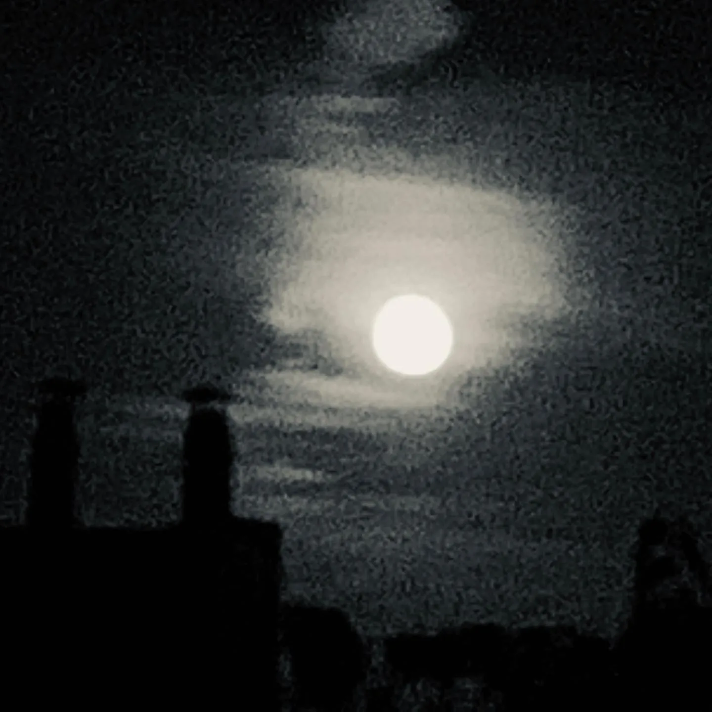 Moonlight Mile