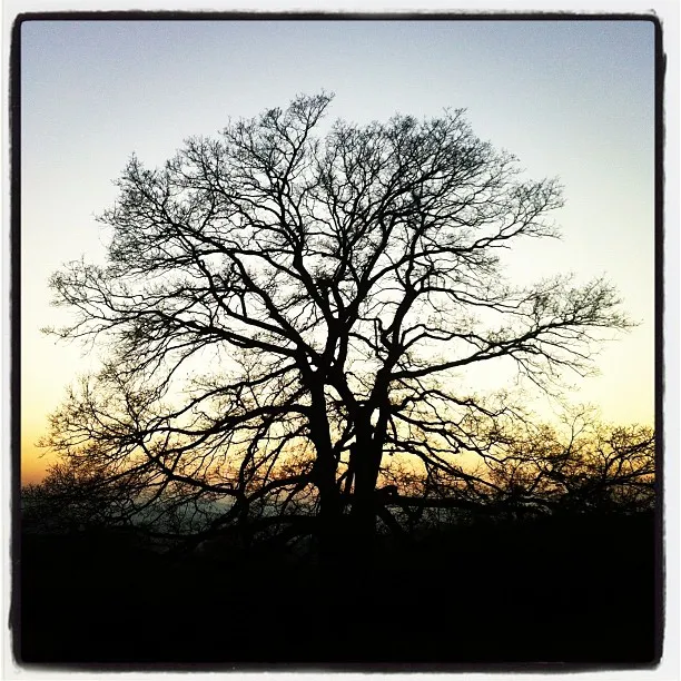 Sonnenuntergang am Wienerwald