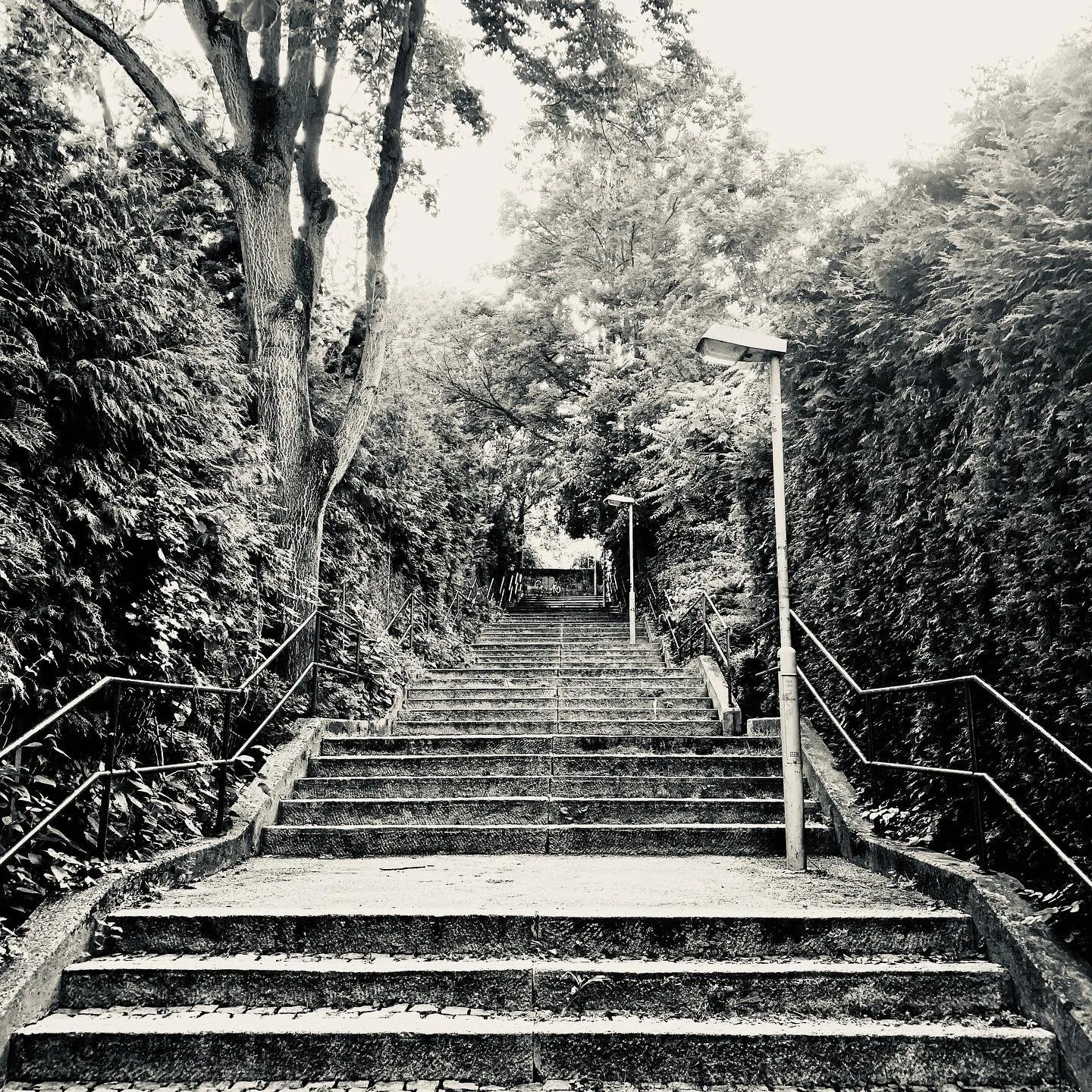 Stairway to Doblingerbad