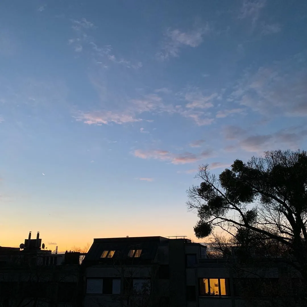 The Moon, Venus and mistletoe