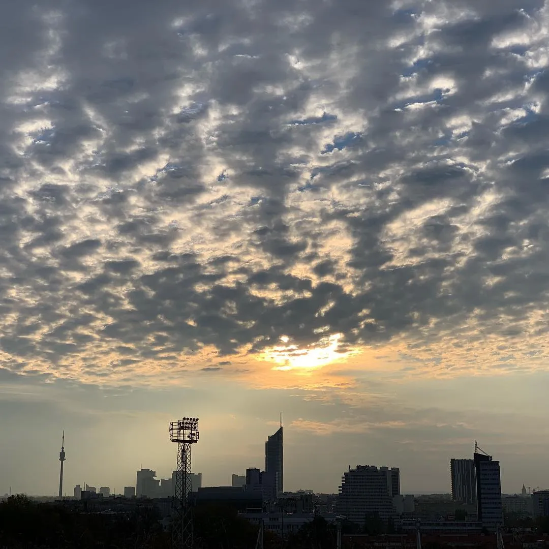 Untitled (Vienna, October 2018)